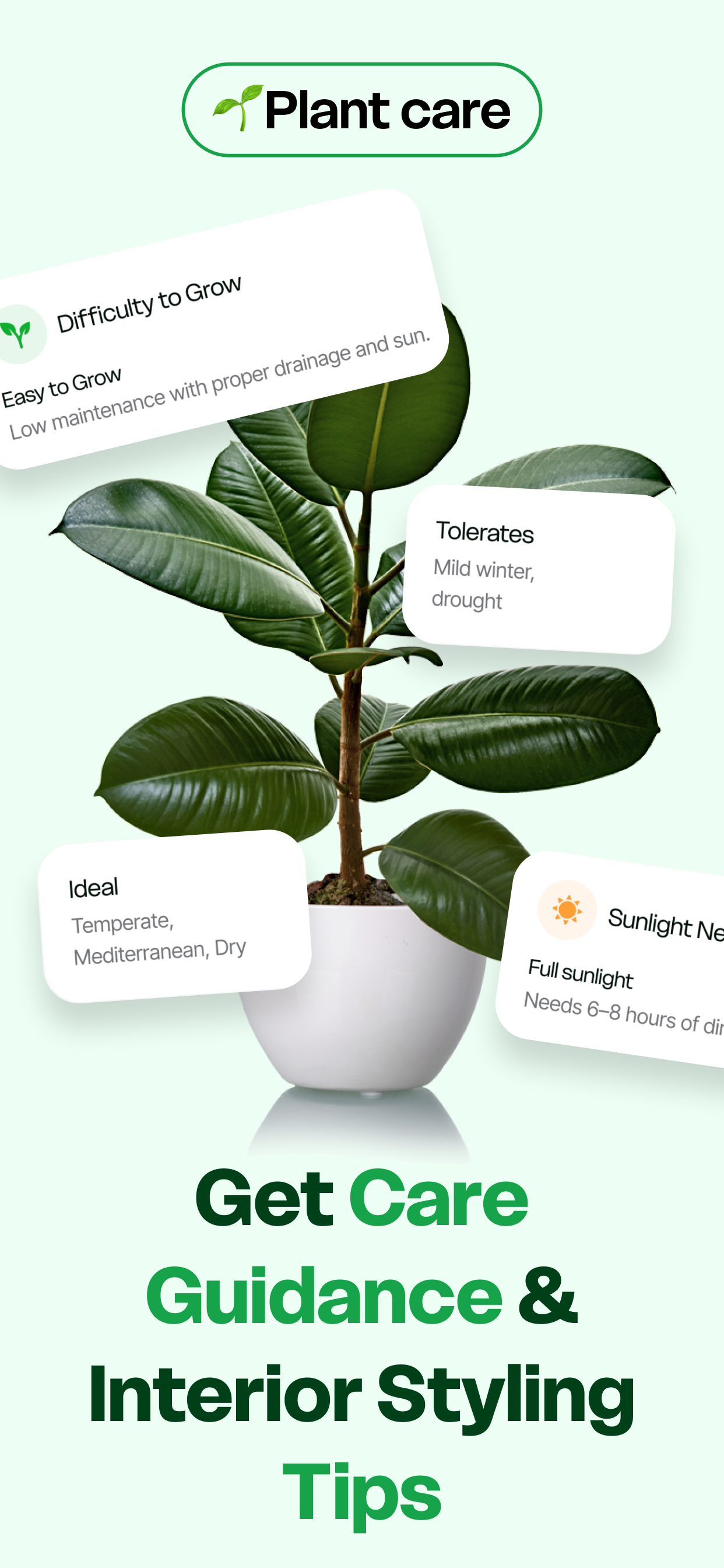 Planteria App - Interface